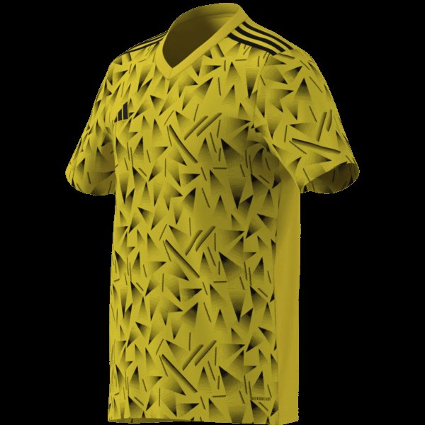 Pánský dres adidas T ICON25 JSY M - foto 16