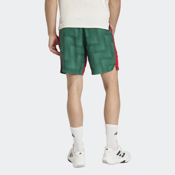 Pánské šortky adidas TECH SHORT Q2 - foto 2