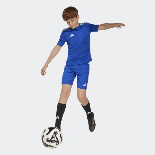 Dětský dres adidas CAMPEON25 JSY Y - foto 5