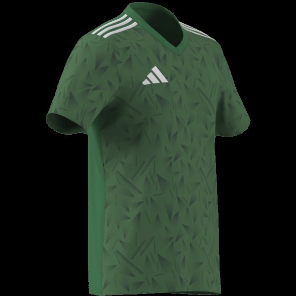 Pánský dres adidas T ICON25 JSY M - foto 10