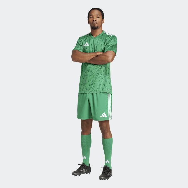Pánský dres adidas T ICON25 JSY M - foto 6