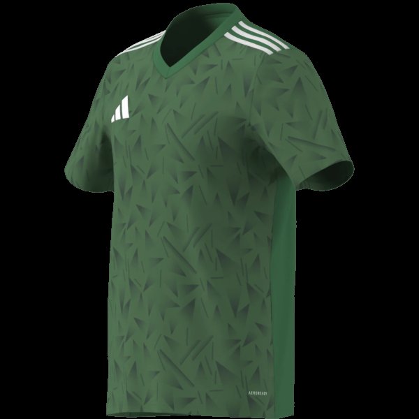 Pánský dres adidas T ICON25 JSY M - foto 16