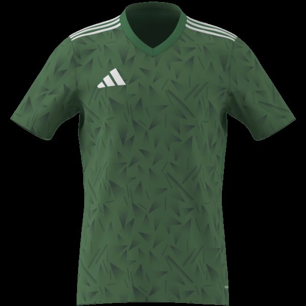Pánský dres adidas T ICON25 JSY M - foto 9