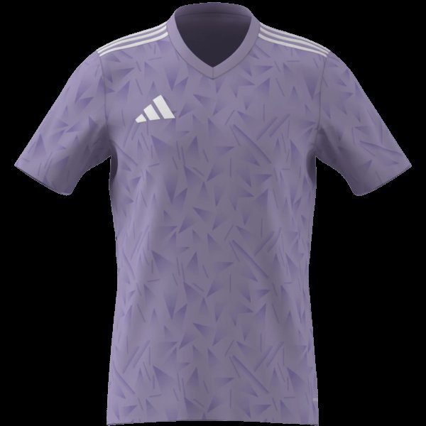 Pánský dres adidas T ICON25 JSY M - foto 7