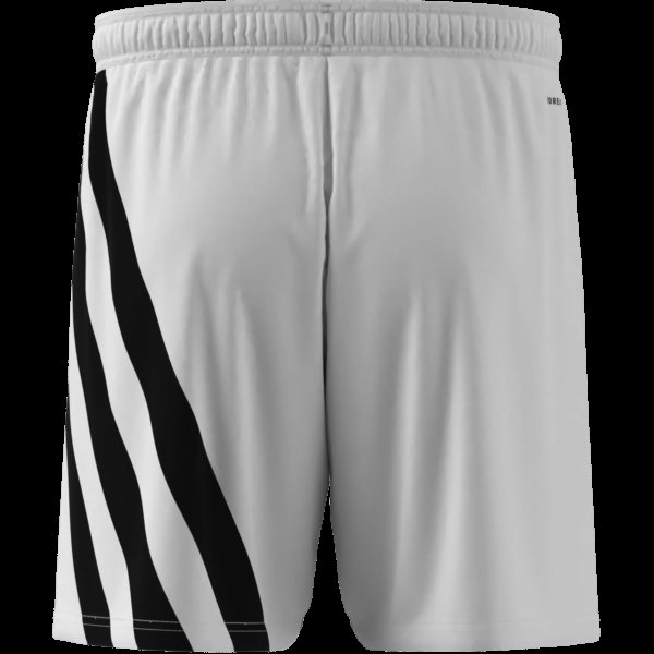 Pánské šortky adidas FORTORE23 SHO - foto 6